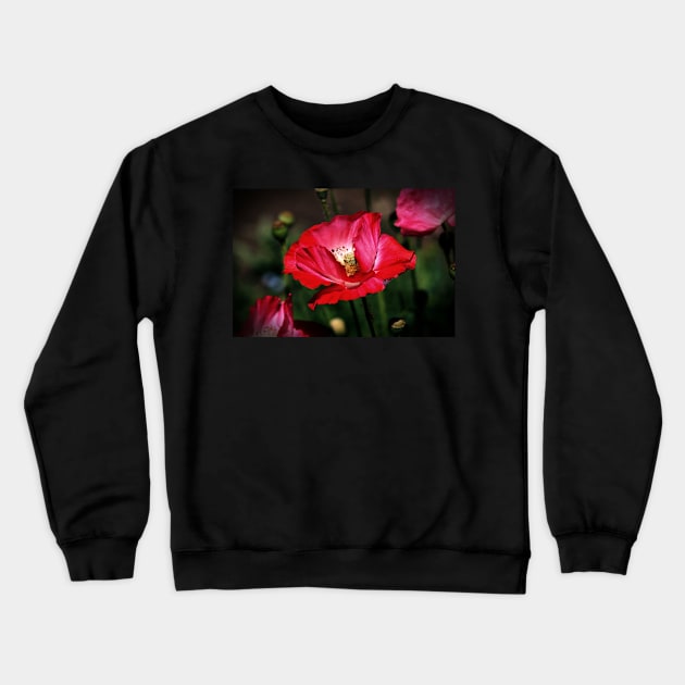 Red Poppies Crewneck Sweatshirt by photoclique